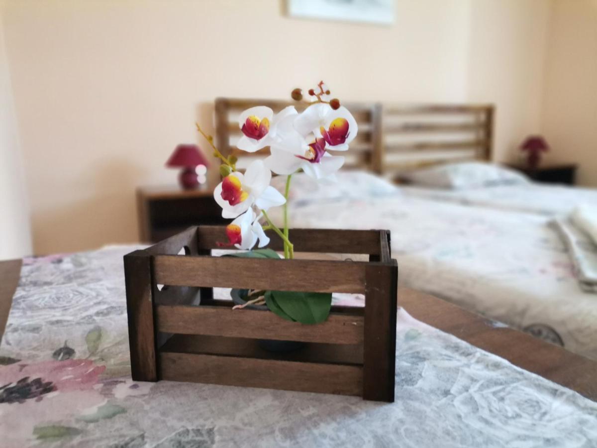 Guest House 51 كرانيفو المظهر الخارجي الصورة