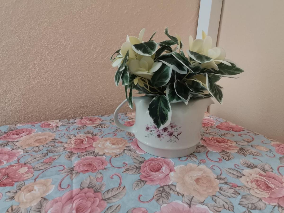 Guest House 51 كرانيفو المظهر الخارجي الصورة