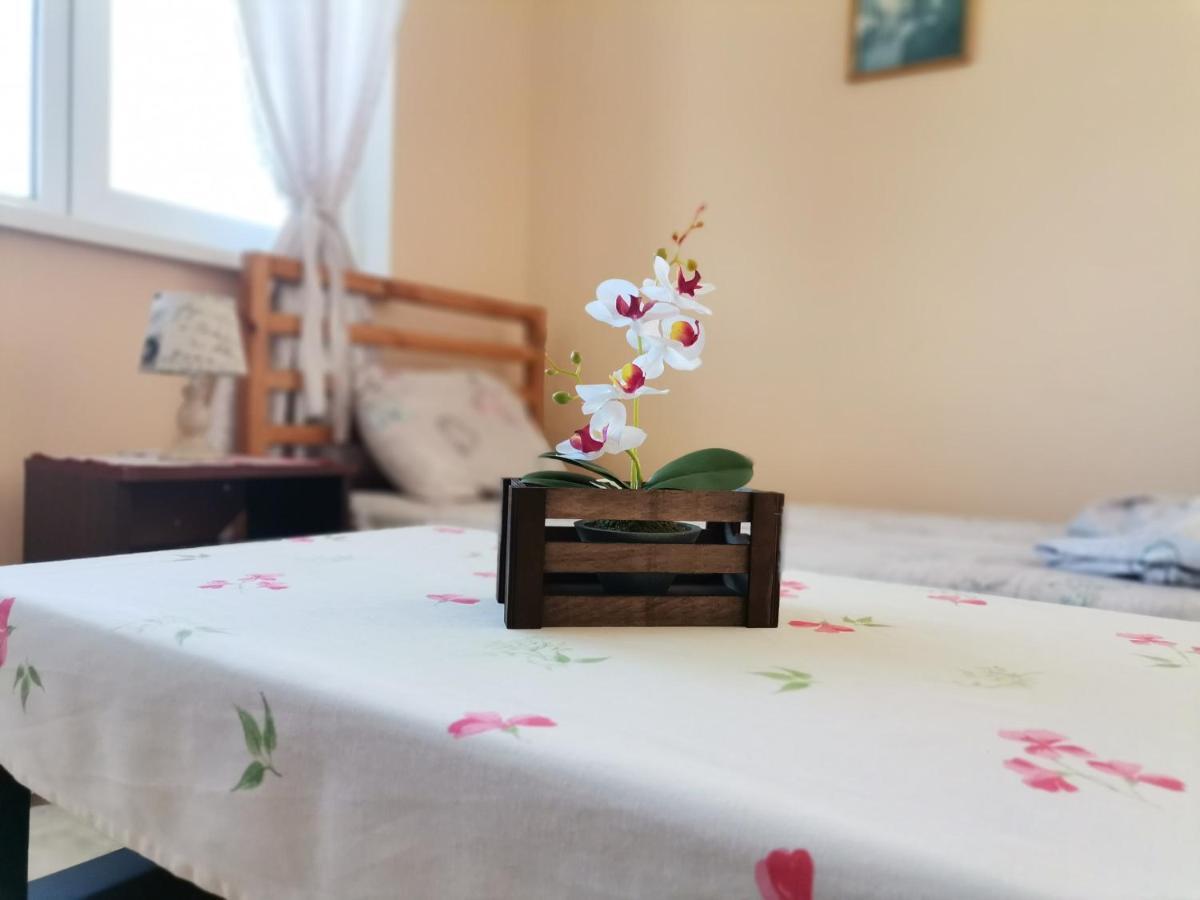 Guest House 51 كرانيفو المظهر الخارجي الصورة